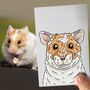 Personalised Hamster Half Portrait Print, thumbnail 3 of 11