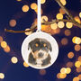 Pet Photo Memorial Christmas Decoration, thumbnail 7 of 9