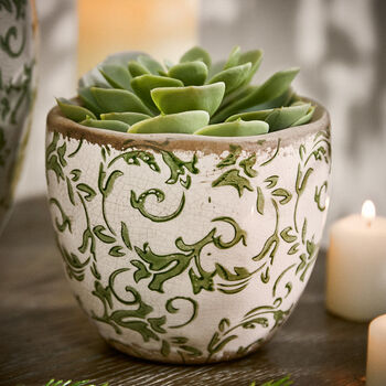 Irina Green Botanical Planter, 3 of 6