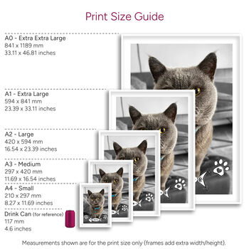 Personalised Cat Photo Print Wall Art Gift For Cat Mums And Dads, 5 of 5