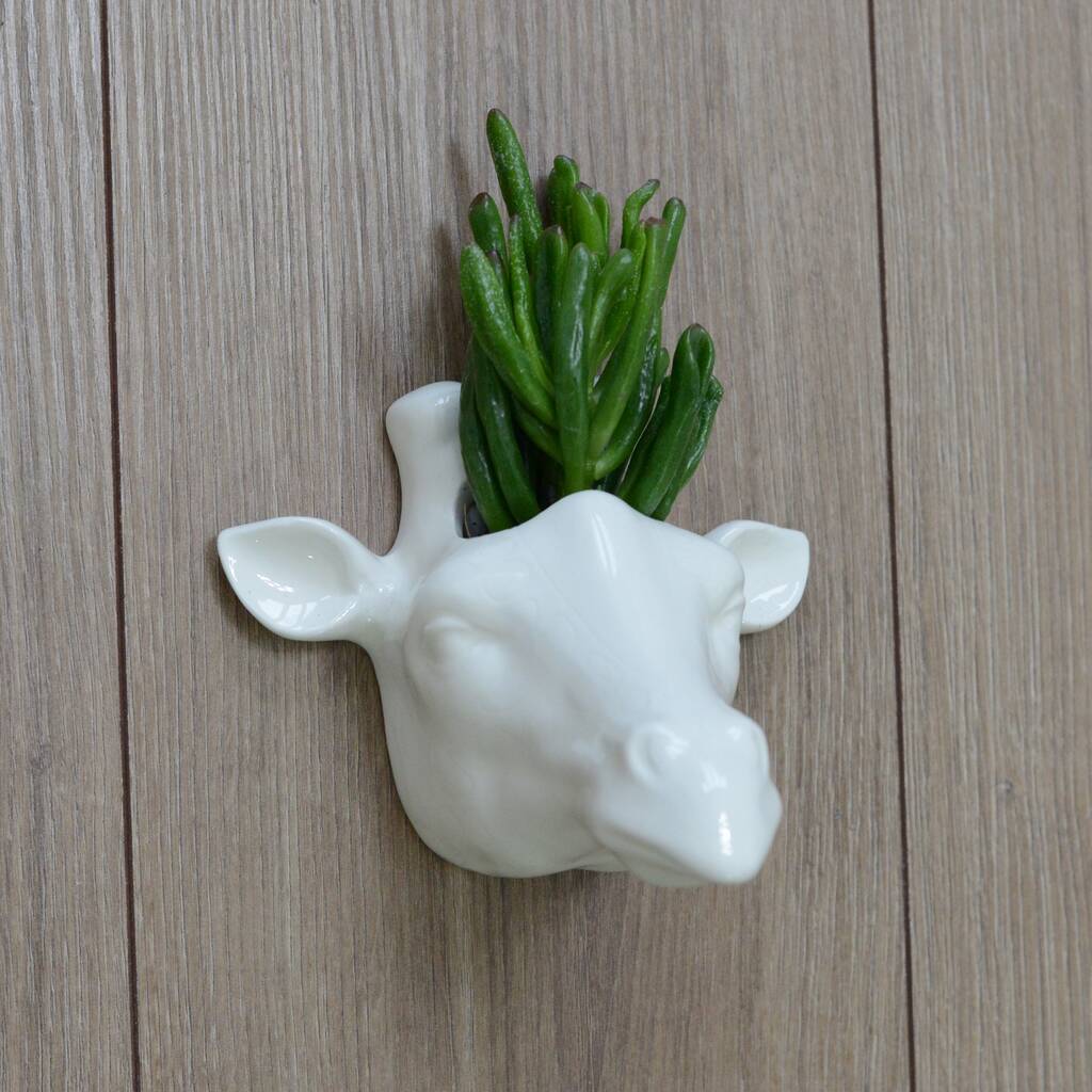 giraffe head planter
