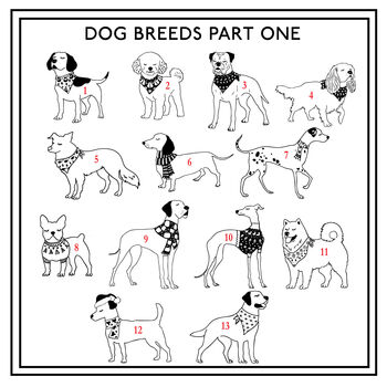 Personalised Dog Breed Christmas Tree Decoration, 4 of 9