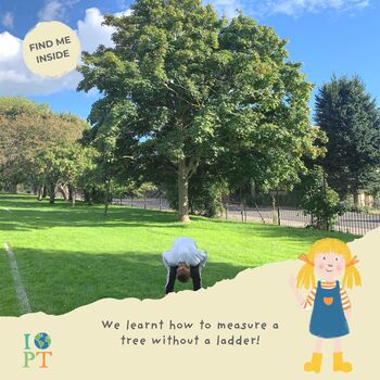 Children's Eco Activity Box: Tremendous Trees, 5 of 11