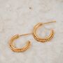 Diba Hoop Earrings, thumbnail 7 of 7
