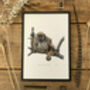 N Is For Northern Muriqui Illustration Print, thumbnail 3 of 6
