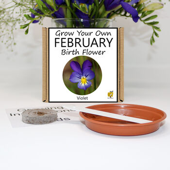 Unusual Birthday Gardening Gift. February Birth Flower, 2 of 6
