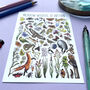 Meadows Wildlife Of Britain Watercolour Postcard, thumbnail 8 of 12