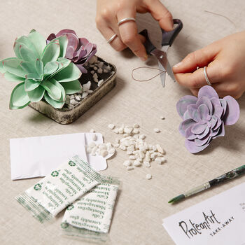 Paper Succulent Making Letterbox Gift Set, 3 of 11