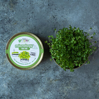 Grow Your Own Microgreens Teeny Greeny Micrology® Kit, 4 of 10