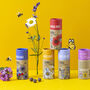 British Wild Flower Seeds For Bees And Butterflies. Set Of Five Seedball Tubes, thumbnail 1 of 10