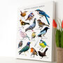 Personalised British Garden Birds Artwork, thumbnail 2 of 7