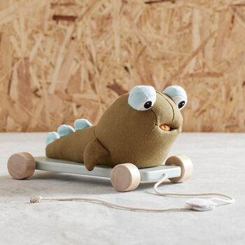 Otto The Mudskipper Pull Along Toy, 4 of 6