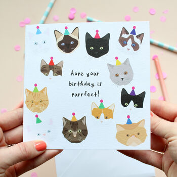 Cat Birthday Cards, 2 of 6