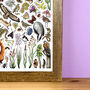 Meadow Wildlife Of Britain Wildlife Print, thumbnail 7 of 9