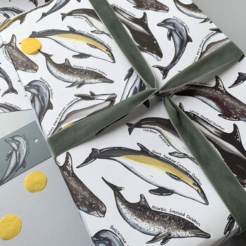 Dolphin Species Wrapping Paper Set, 9 of 10