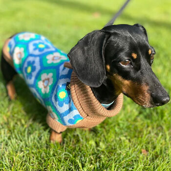 Matching Owner Dog Jumper Daisy Set, 6 of 8
