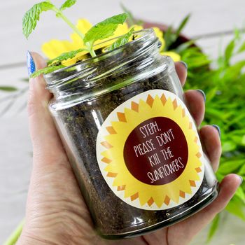 Personalised 'Don't Kill Me' Sunflower Jar Grow Kit, 4 of 12