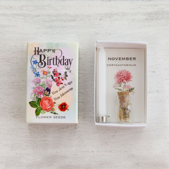 November Birth Flower Seeds And Birthday Candle Gift, 3 of 8