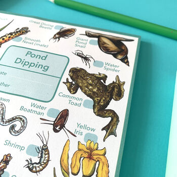 Pond Dipping Journal Notepad, 8 of 11