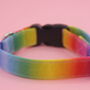 Rainbow Ombre Dog Collar, thumbnail 6 of 9