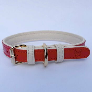 Handmade Italian Leather Padded Red Dog Puppy Collar, 6 of 7