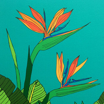 Tropical Bird Of Paradise Flower Print, 4 of 7