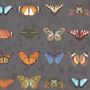 Lepidoptera Charcoal Wallpaper, thumbnail 2 of 3