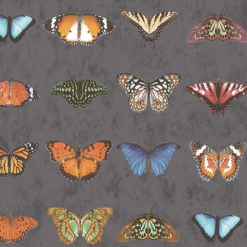 Lepidoptera Charcoal Wallpaper, 2 of 3