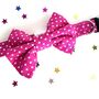 Slide On Dog Collar Bow In Blue, Red, Pink And Black, thumbnail 5 of 10