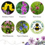 Love Bees Wildflower Seedball Garden Gift Set, thumbnail 10 of 10