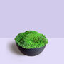 Preserved Moss In Ceramic Sugar Bowl For Table Centrepiece, thumbnail 1 of 6