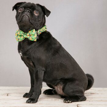 The Alderley Green Botanical Dog Collar Bow Tie, 2 of 6