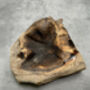 Compact 25cm Molten Glass On Wood Root Vase – Fluted Display, thumbnail 7 of 12