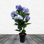 Artificial Hydrangea Flowering Plant Blue, thumbnail 1 of 4