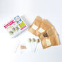 Christmas Tree Cake Pop Kit, thumbnail 1 of 3