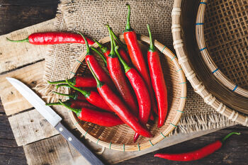 Chilli Plants, 'Super Chilli', 7 of 11