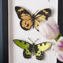 Handpainted Papercut Butterfly 3D Wall Art, Portrait, thumbnail 2 of 5