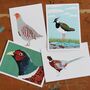 A Pack Of Four Mixed Bird Cards, thumbnail 1 of 5