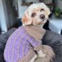 Purple Merino Lambswool Dog Jumper And Matching Scarf Set, thumbnail 3 of 5