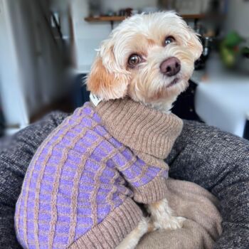 Purple Merino Lambswool Dog Jumper And Matching Scarf Set, 3 of 5