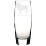 Personalised Lion Engraved Glass, thumbnail 1 of 6