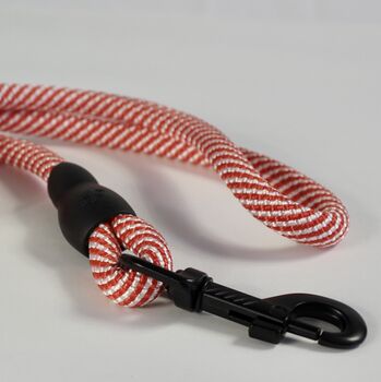 Red And White Stripped Rope Dog Lead, 2 of 12