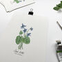 ‘Sweet Violet’ Wildflower Botanical Giclée Art Print, thumbnail 2 of 3