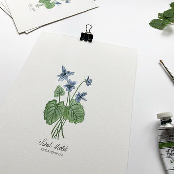 ‘Sweet Violet’ Wildflower Botanical Giclée Art Print, 2 of 3