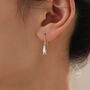 Sterling Silver Blue Footed Boobie Drop Hook Earrings, thumbnail 5 of 10