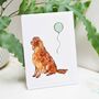 Red Setter Birthday Card, thumbnail 2 of 10