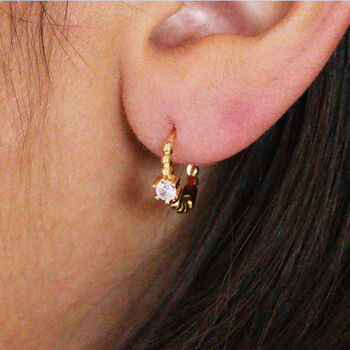 Cubic Zirconia Sterling Silver Hoop Earrings, 5 of 6