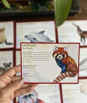 Endangered Species Flash Cards, 4 of 9