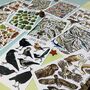 Wildlife Of Britain Postcard Pack Volume Two, thumbnail 3 of 11