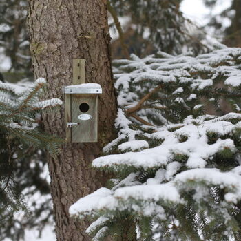 Handcrafted Wooden Wren Nesting Box – Fsc Pinewood, 3 of 4